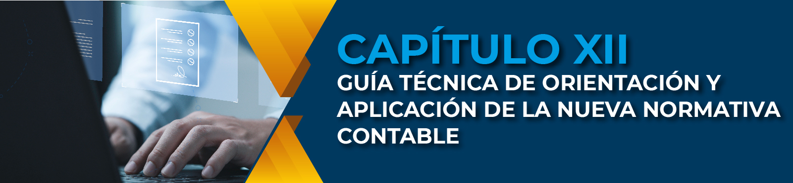 Capítulo XII Guía Técnica De Orientación Y Aplicación De La Nueva Normativa Contable Capítulo XII Guía Técnica De Orientación Y Aplicación De La Nueva Normativa Contable