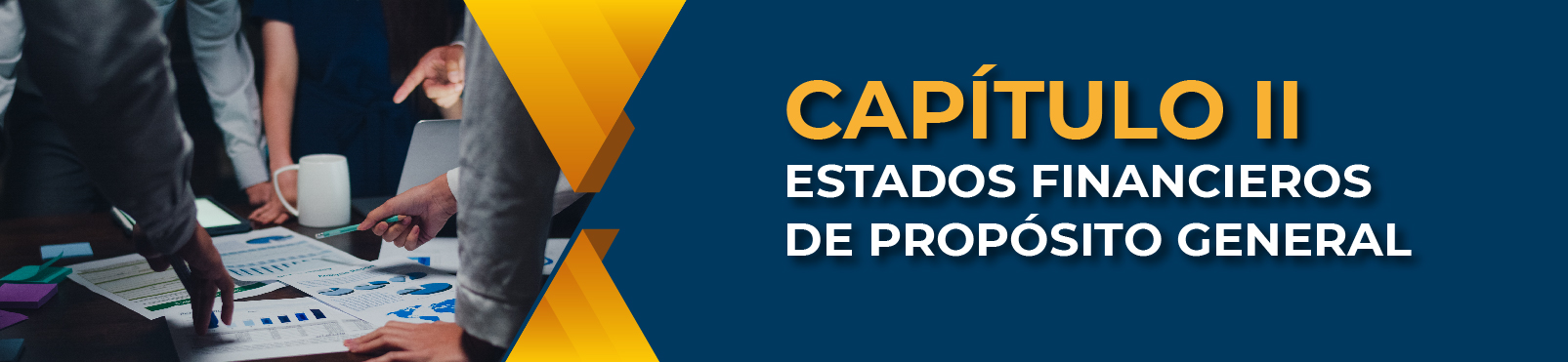 Capítulo II Estados Financieros De Propósito General