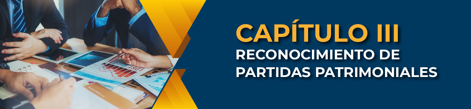 Capítulo III Reconocimiento De Partidas Patrimoniales 