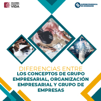 DIFERENCIAS GRUPO EMPRESARIAL ORGANIZACION EMPRESARIAL Y GRUPO DE EMPRESAS