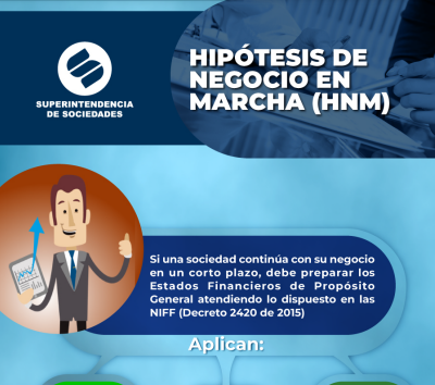 Infografía - Hipótesis de Negocio en Marcha