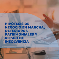 Infografía Hipótesis de negocio en marcha