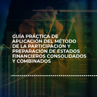 Guía Práctica Aplicación del método de participación