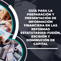 GUÍA PARA LA PREPARACIÓN Y PRESENTACIÓN DE INFORMACIÓN FINANCIERA EN LAS REFORMAS ESTATUTARIAS: FUSIÓN, ESCISIÓN Y DISMINUCIÓN DE CAPITAL