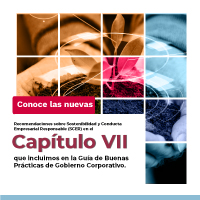 GUÍA PARA LA PREPARACIÓN Y PRESENTACIÓN DE INFORMACIÓN FINANCIERA EN LAS REFORMAS ESTATUTARIAS: FUSIÓN, ESCISIÓN Y DISMINUCIÓN DE CAPITAL