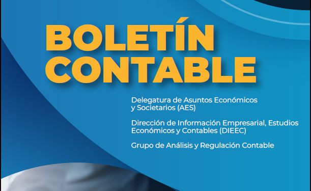 Miniatura-Boletin-contable-2024-1