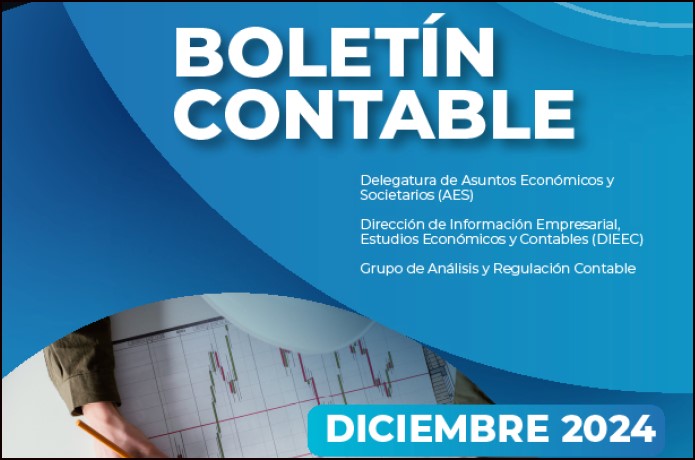 Miniatura-Boletin-contable-2024-2.jpg