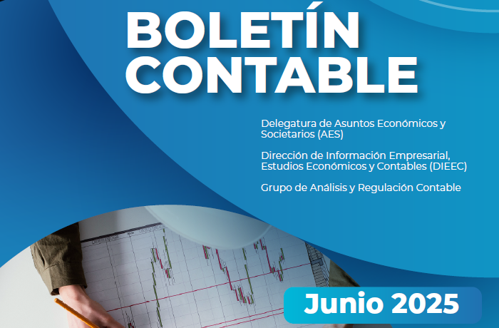Miniatura-Boletin-contable-2025-1.png