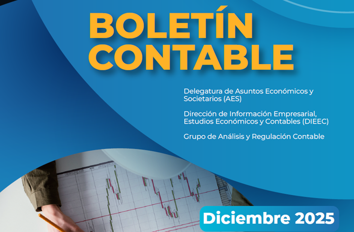 Miniatura Boletin contable 2025 semestre 2