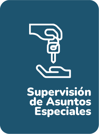 Icono Supervisión