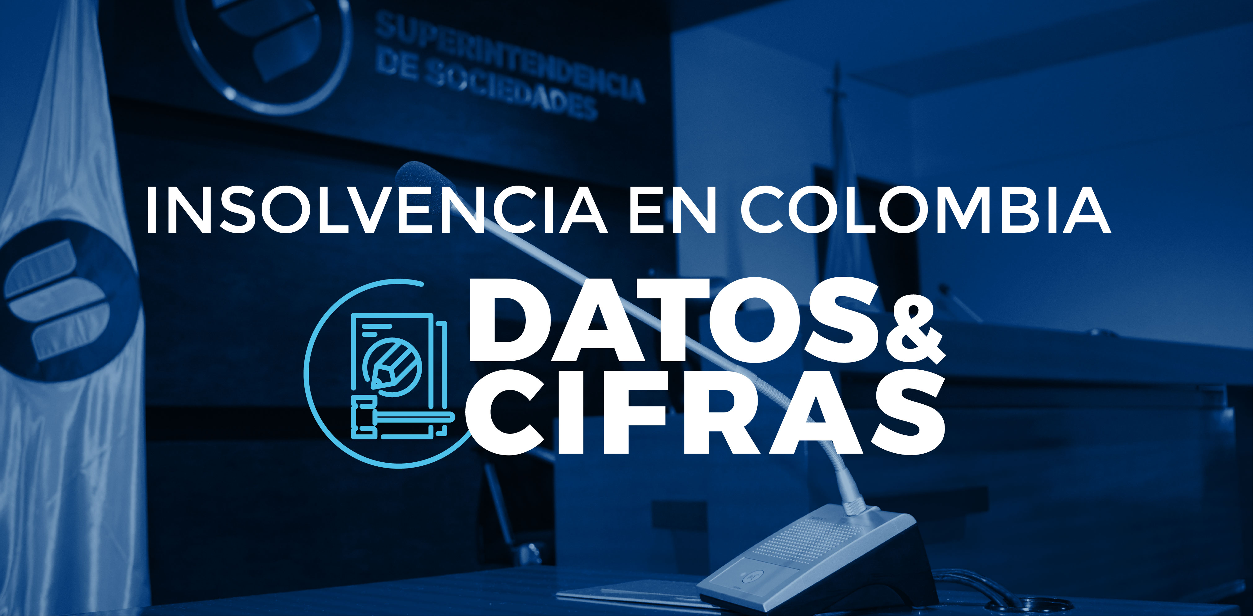 Delegatura de procedimientos de insolvencia