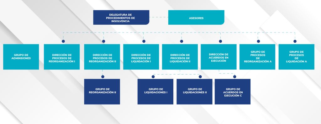 Estructura delegatura